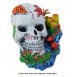 Ancient Skull
